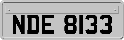 NDE8133