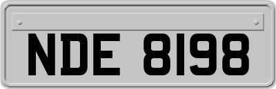 NDE8198