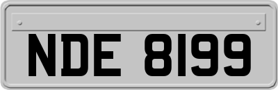 NDE8199