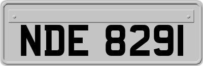 NDE8291