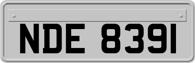 NDE8391