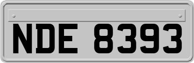 NDE8393