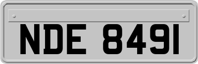 NDE8491