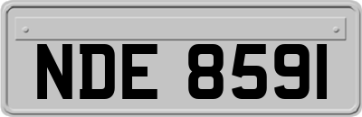 NDE8591