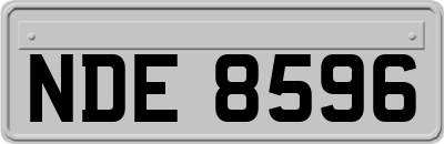 NDE8596