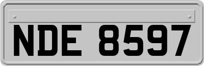 NDE8597