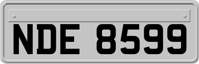NDE8599