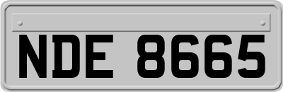 NDE8665