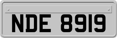NDE8919