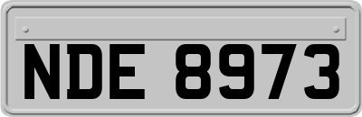 NDE8973
