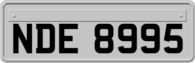 NDE8995
