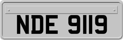NDE9119