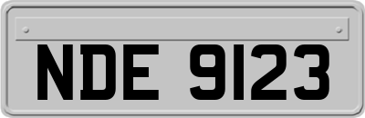 NDE9123