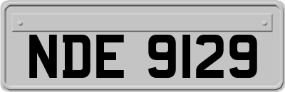 NDE9129