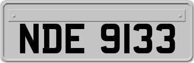 NDE9133