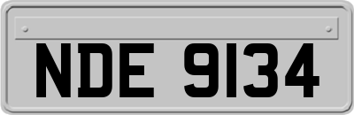 NDE9134