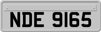 NDE9165