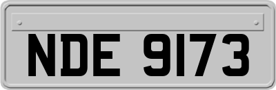 NDE9173