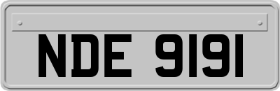 NDE9191