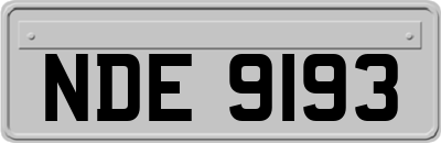 NDE9193
