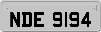 NDE9194