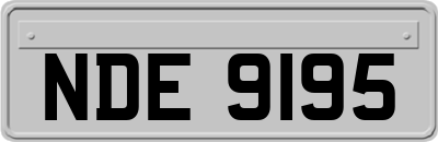 NDE9195