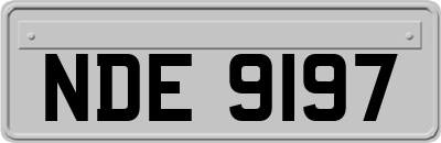 NDE9197
