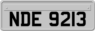 NDE9213