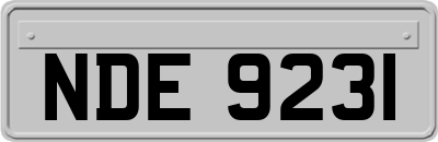 NDE9231