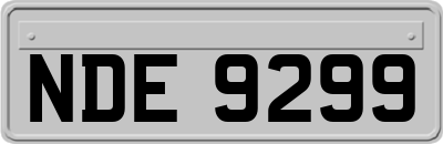 NDE9299