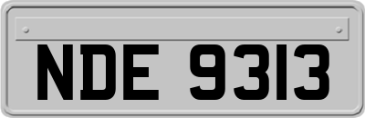 NDE9313