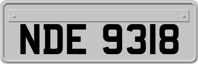 NDE9318