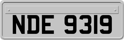 NDE9319
