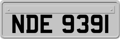 NDE9391