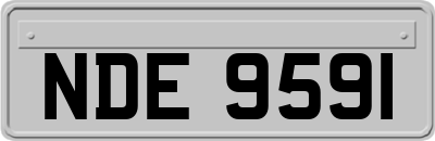 NDE9591