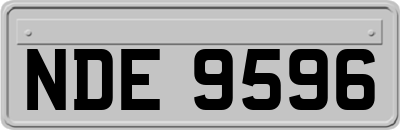 NDE9596