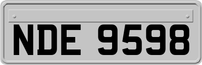 NDE9598