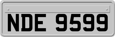 NDE9599
