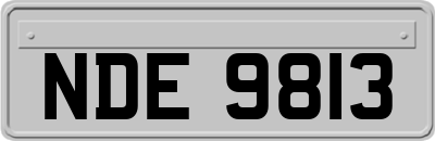 NDE9813