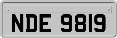 NDE9819