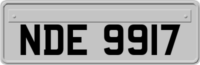 NDE9917