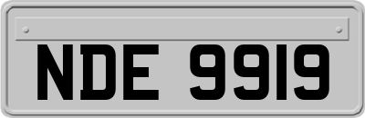NDE9919
