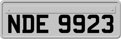 NDE9923