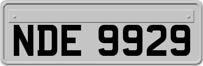NDE9929