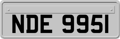 NDE9951