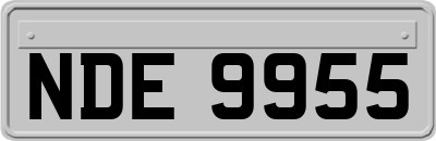 NDE9955