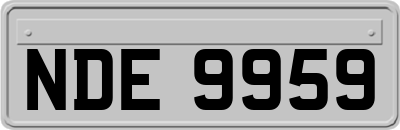 NDE9959