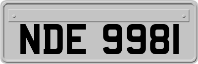 NDE9981