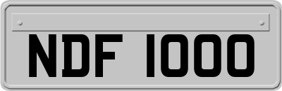 NDF1000