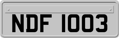 NDF1003